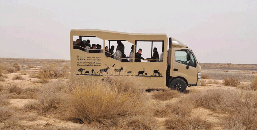 The Royal Society for the Conservation of Nature recently announced the launch of its new safari experience in the Shaumari Wildlife Reserve (Photo courtesy of RSCN)