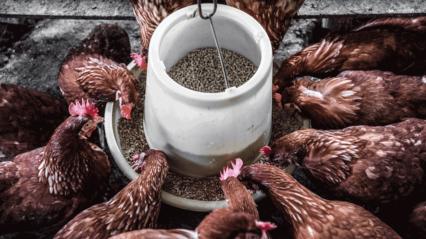 Representative image (Photo courtesy of unsplash/Arisa Chattasa)