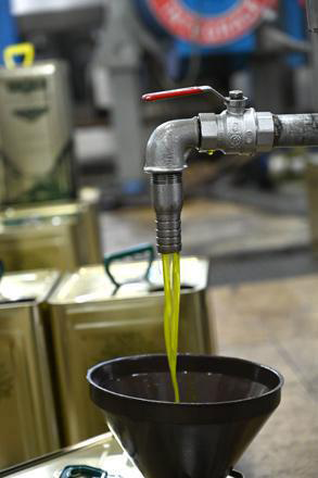 The figures reveal that olive oil production reached 34,030 tonnes from October 12 to December 11 (File photo)