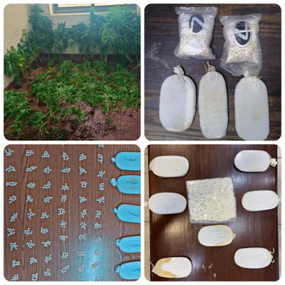 Drugs are displayed by the authorities following a series of drug raids (Photo courtesy of PSD)