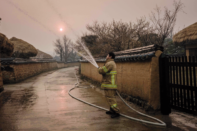 A firefighter sprays water on a thatched roof and walls to keep them wet in preparation for a possible approaching wildfire in Andong Hahoe Village, a traditional Korean village and UNESCO World Heritage site, in Andong today (AFP photo)