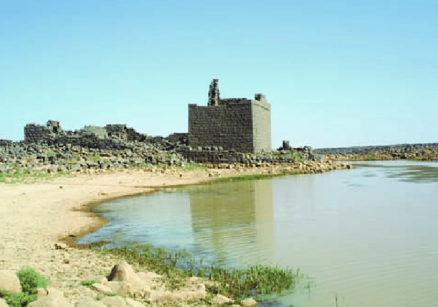A pond in Qasr Burqu, in the Eastern Desert of Jordan (Photo courtesy of  P. Viridis)