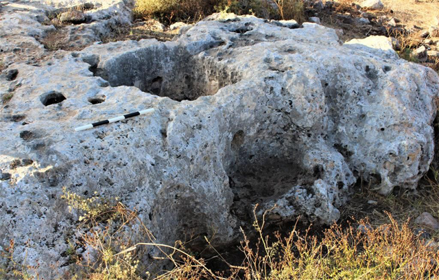 An ancient olive press cut into limestone bedrock at Khirbet Um Al Ghozlan. Note the circular channel draining the oil from the pressing tank (top) to the collection vat (below) (Photo courtesy of Adam Carr)
