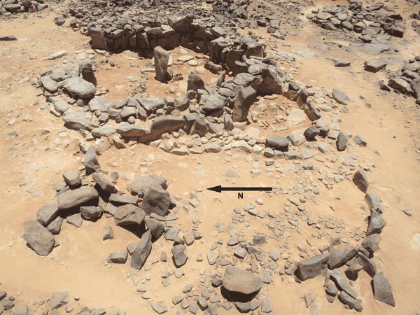 A view of Type 1 standing stones at Wisad Pools in the eastern desert (Photo courtesy of Gary Rollefson)