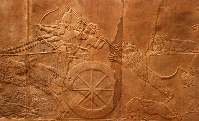 The king (recognizable by his distinctive hat) rides around the arena on a chariot shooting lions with arrows. His attendants fend off a lion that is attacking from behind (Photo of Jan Van den Crabben)