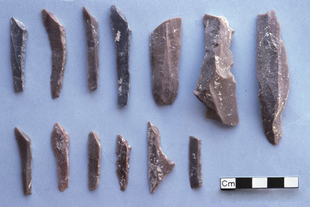 Flint tools from Wadi Jilat (Photo courtesy of ACOR)