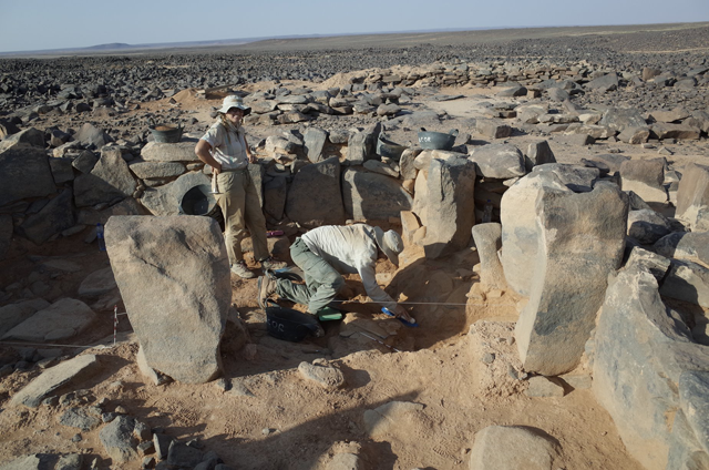 In this undated photo, the EBAP’s team works in W-80 at Wisad Pools in Eastern Desert (Photo courtesy of EBAP)