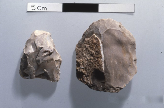 Natufian scrapers found in the Petra Hinterland (Photo courtesy of ACOR)
