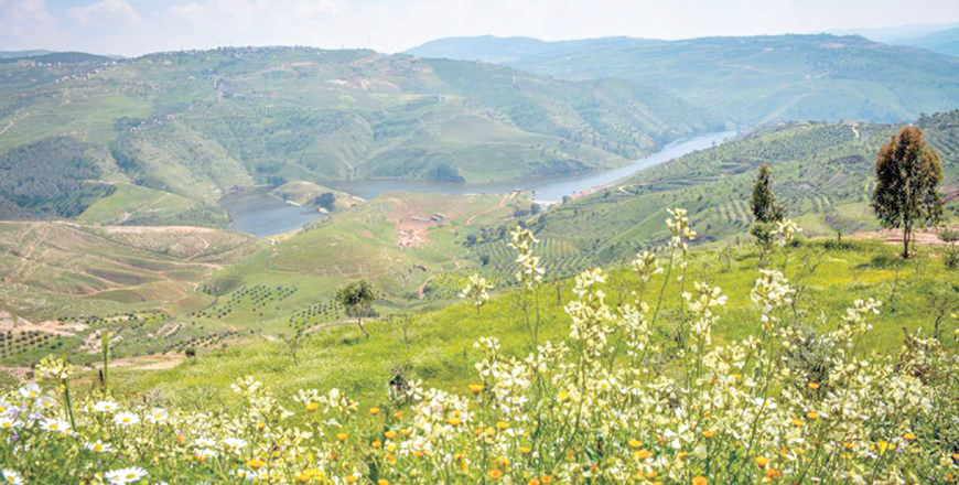 View of the King Talal Dam from the Jerash plains. Wednesday marks the spring solstice or vernal equinox, the beginning of spring and the end of winter in the northern hemisphere (JT File photo)