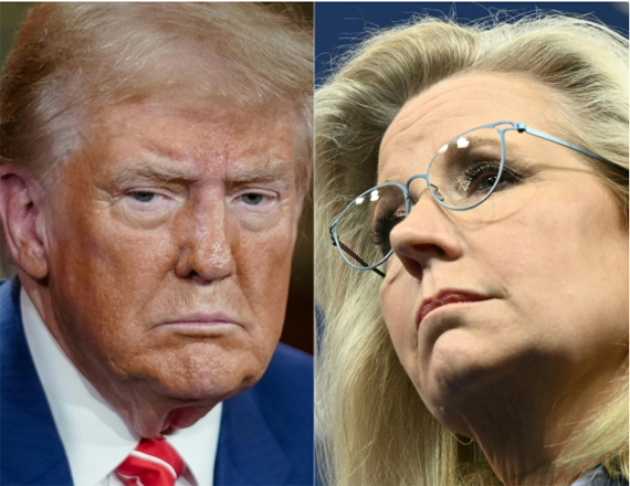 Donald Trump has a long history of attacking Liz Cheney (AFP photo)