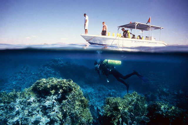 The new Marine Debris Tracker application encourages Jordanians to collect and discard litter they find on the beach or in the sea and insert the information of found items in the application  (Photo courtesy of the Jordan Tourism Board)