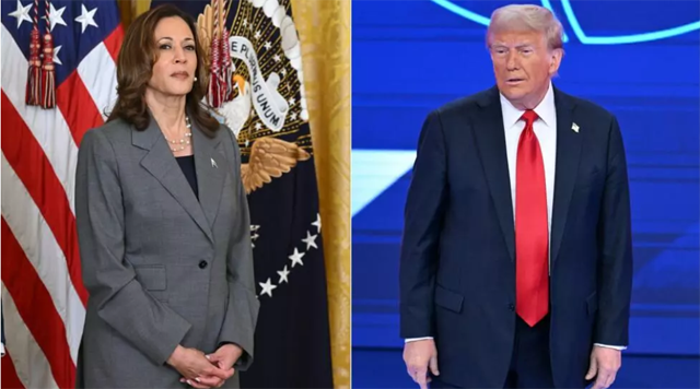 US Vice President Kamala Harris and former president Donald Trump are making closing pitches to voters in one of America's most divisive electoral fights (AFP photo)