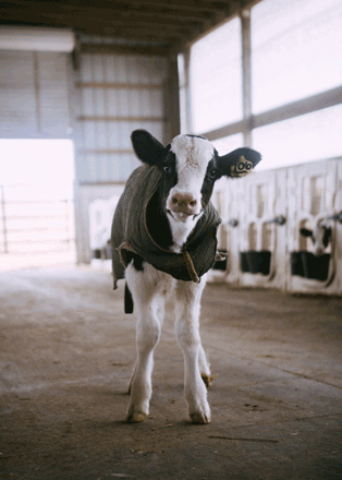 Representative image (Photo courtesy of unsplash/Amber Kipp)