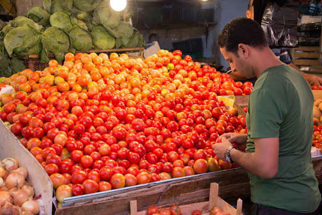 The Kingdom is among the top 10 world countries in terms of producing and exporting tomatoes, which constitute around 65 per cent of total exported agricultural produce  (Photo by Amjad Ghsoun)