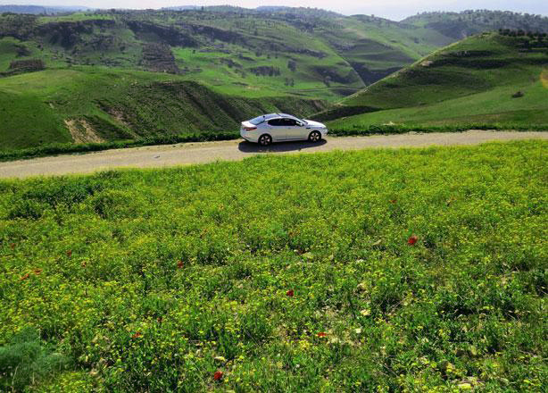 Visitors arrive for a picnic in Koura District, 65km to the north of Amman, in this recent photo  (Photo courtesy of Barakat Zaza)