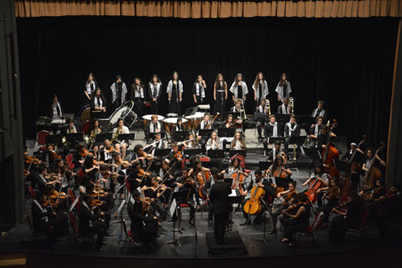 The Palestine Youth Orchestra performs during a concert in Amman on Tuesday (Photo by Amjad Ghsoun)