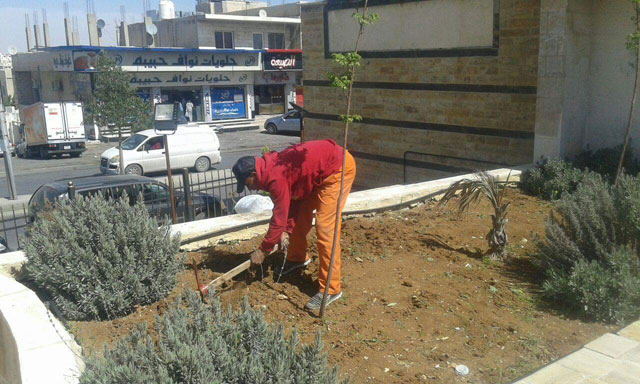 A Sahab Municipality employee works at a garden in the Amman town recently (Photo courtesy of Sahab Municipality)