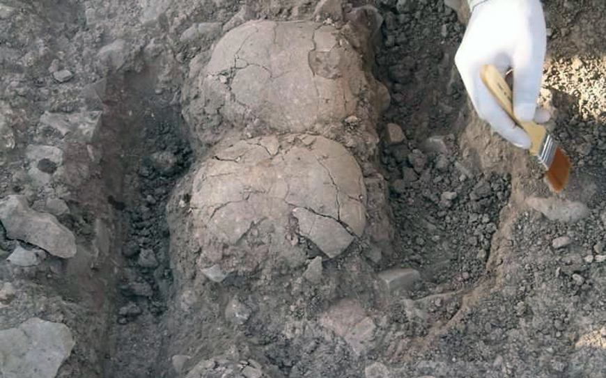This photo shared by University of Jordan President Ekhleif Tarawneh on Facebook shows skulls dating back to the Neolithic period unearthed recently in Jerash by a team of students and archaeologists from UJ (Photo courtesy of UJ)