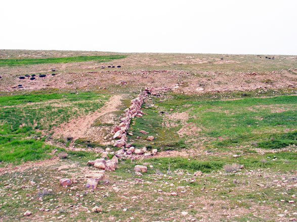   Umm Al Rassas Byzantine damwall in March 2017 (Photo courtesy of  J.M. Castex)