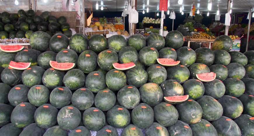 Watermelons are annually cultivated on 2,800 dunums in the Jordan Valley, with each dunum producing five tonnes, according to the Agriculture Ministry (Photo by Osama Aqarbeh)