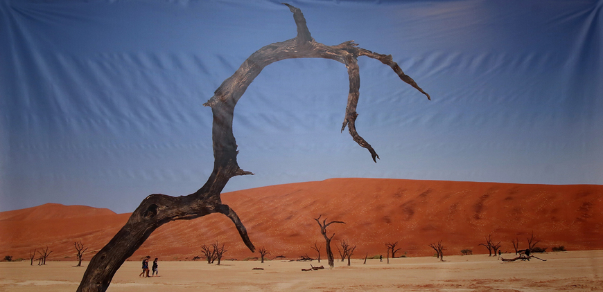 Work from the exhibition ‘From Dust to Life and Back’ by Ivana Panizzi on display at Zara Gallery until May 11 (Photo courtesy of Zara Gallery)