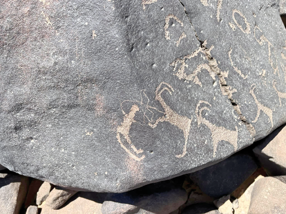A petroglyph from Jabal Qurma in the east Jordan (Photo courtesy of The Jabal Qurma Archaeological Landscape Project)