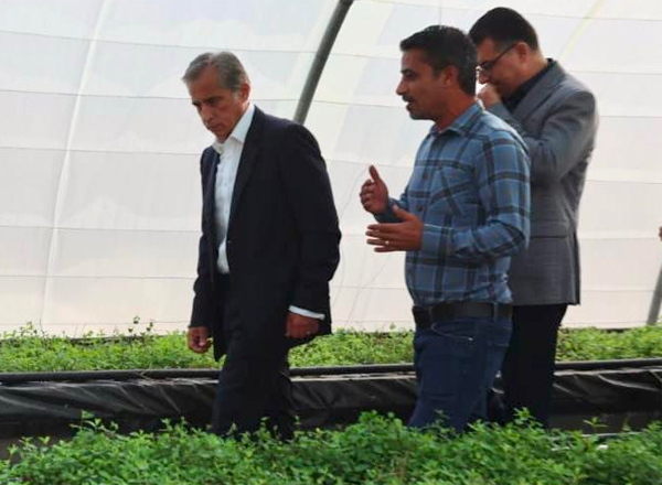 Prime Minister Jafar Hassan at Faisal Az Zoubi Plantation in Jerash, during a visit on November 4 to the northern governorate, where he toured seven environmental, agricultural, social, health, and educational sites as part of his weekly field visits across the Kingdom (Petra photo)