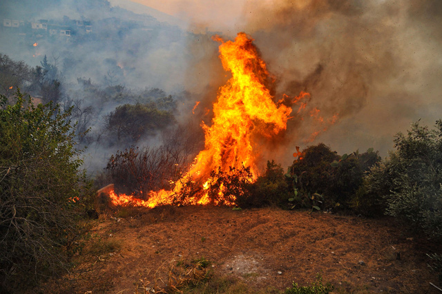 This handout photo released by the official Syrian Arab News Agency on Saturday shows a fire devouring a forest in Syria's Latakia province the previous day (AFP photo)