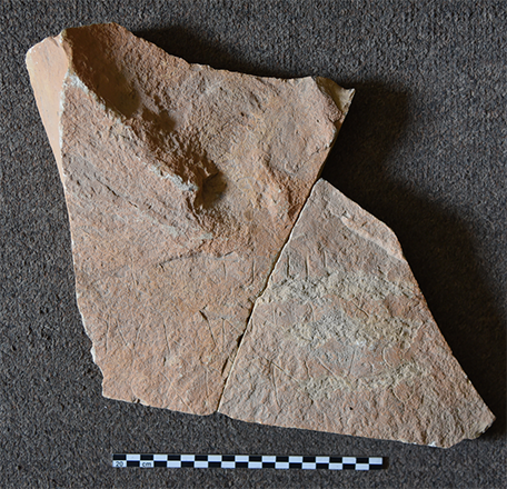 Latin graffito 1 found at Bayir (Photo courtesy of J. Aliquot)