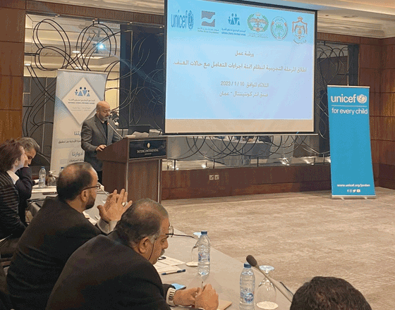 Secretary General of the National Council for Family Affairs Mohammad Miqdadi speaks during a workshop on Tuesday (Photo courtesy of NCFA)