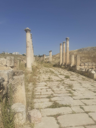 A colonnaded road in ancient Gerasa which was one of major pottery production centre in the southern Levant (Photo courtesy of Saeb Rawashdeh)