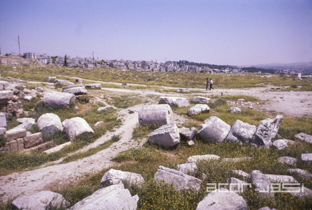 Temple of Hercules on Amman Citadel (Photo courtesy of ACOR)
