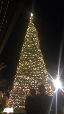 A Christmas tree is seen at Saraya Aqaba (Photo by Batool Ghaith)