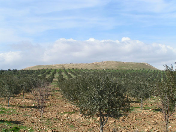 Tell Jalul, the site from Early Bronze Age near Madaba (Photo courtesy of  Paul Ray)