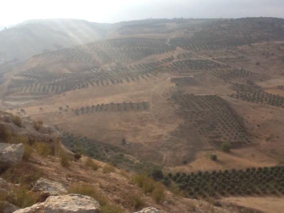 A view of Wadi Ziqlab in northern Jordan during 1980s (Photo courtesy of Ted Banning)