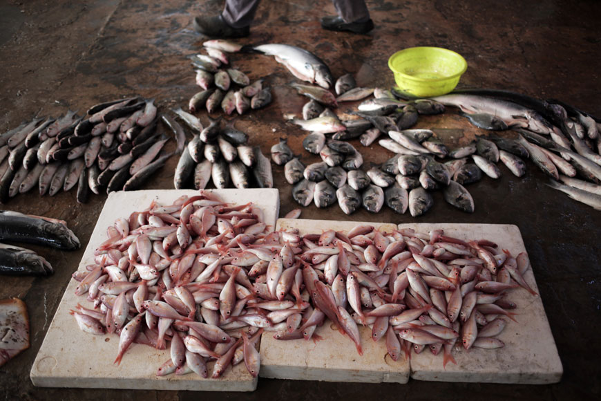 In this Friday photo, fish are displayed for sale in the fish market of Gaza City (AP photo)