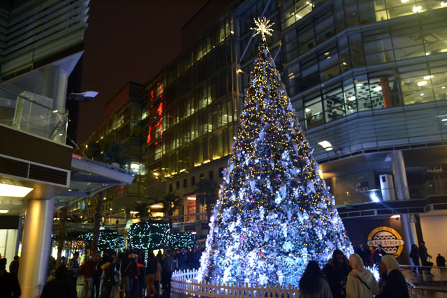 The Boulevard Christmas tree can be seen in this photo taken on December 6 (Photo by Ana V. Ibáñez Prieto)