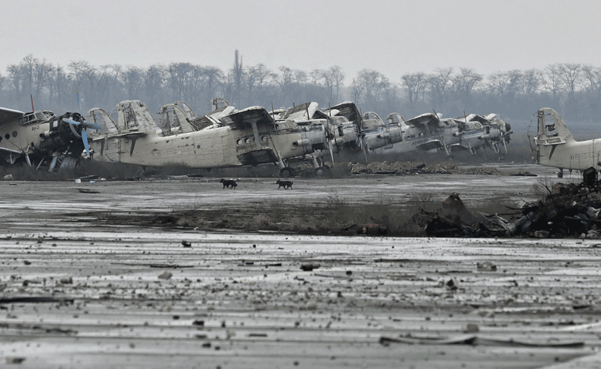 This photo taken on January 28, 2023, shows dogs walking among damaged civilian planes at the International Airport of Kherson in the village of Chornobaivka, outskirts of Kherson, amid Russia's military invasion on Ukraine (AFP photo)