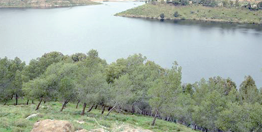 A view of the King Talal Dam in Jerash, some 50km north of Amman ((JT file photo))