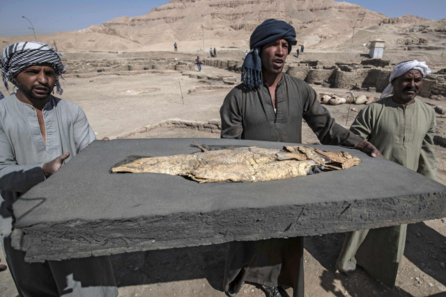A photo taken on Saturday, shows workers carrying a fossilised fish uncovered at the archaeological site of a 3,000-year-old city, dubbed The Rise of Aten, dating to the reign of Amenhotep III, uncovered by the Egyptian mission near Luxor (AFP photo)