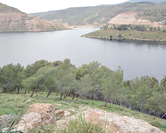 The recent depression brought in 2 million cubic metres of water into the dams, according to Ministry of Water (JT file photo)