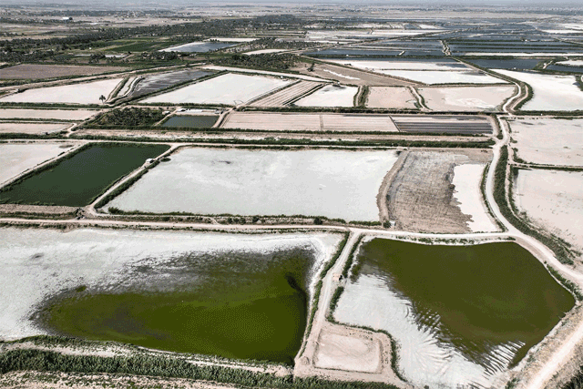 This aerial view shows dry fish farms in the village of Albu Mustafa in Hilla, about 100 km  south of Baghdad on July 6, following a crackdown by the Iraqi government on unauthorised ponds in an effort to meet the country's water demands (AFP photo)