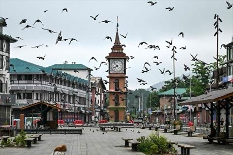 Pigeons fly at the Lal Chowk during early morning in Srinagar on May 10, 2025. Pakistan's military on May 10 said India launched another wave of missiles targeting three air bases (AFP photo)