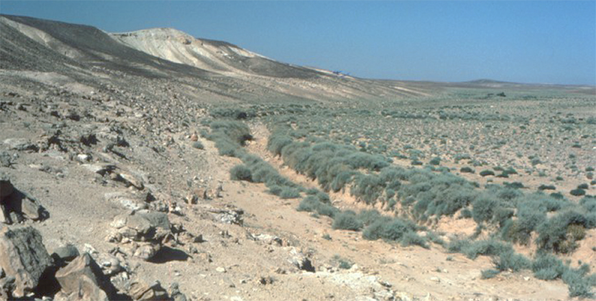Wadi Al  Ghadaf  southwest from Qasr Tuba (Photo courtesy of ACOR/James Sauer collection)