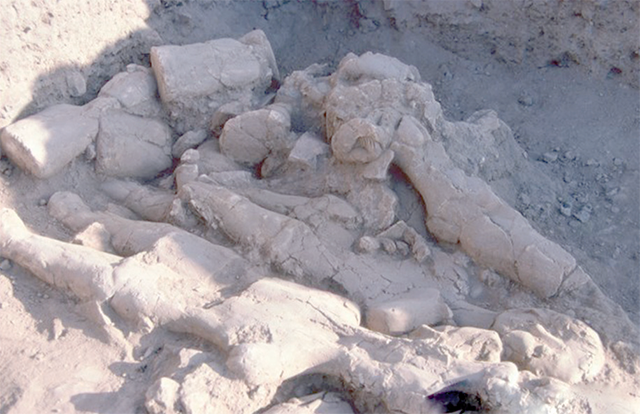 The upper layer of the cache with plastered human statues and busts (Photo courtesy of ACOR)