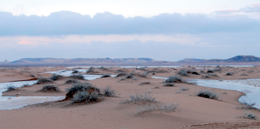 Jafr basin is located in the south-eastern Jordan  (Photo courtesy of Hans Gebel)
