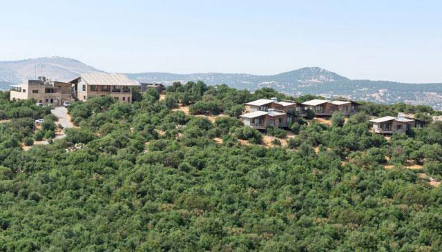  A view of Ajloun Forest Reserve (Photo courtesy of RSCN)