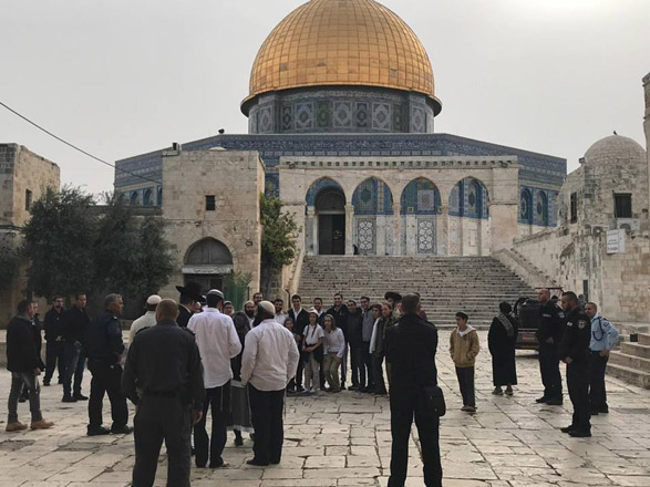 Extremist Jews are seen in front of the Dome of the Rock in Jerusalem on Thursday   (Photo courtesy of WAFA)