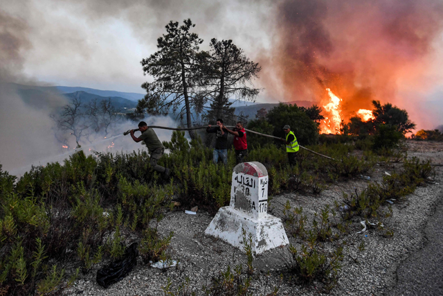 Firefighters attempt to extinguish a raging forest fire near the town of Melloula in north-western Tunisia close to the border with Algeria on Monday (AFP photo)