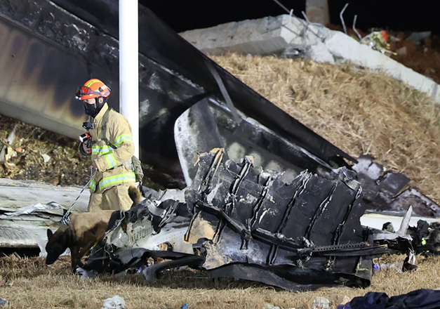 A firefighter and a dog work near the scene where a Jeju Air Boeing 737-800 series aircraft crashed and burst into flames at Muan International Airport in South Jeolla Province, some 288 kilometres southwest of Seoul on Saturday (AFP photo)